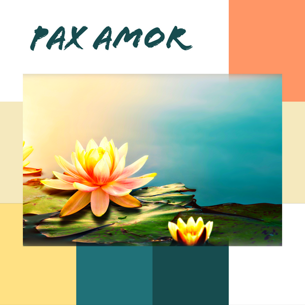 Pax Amor